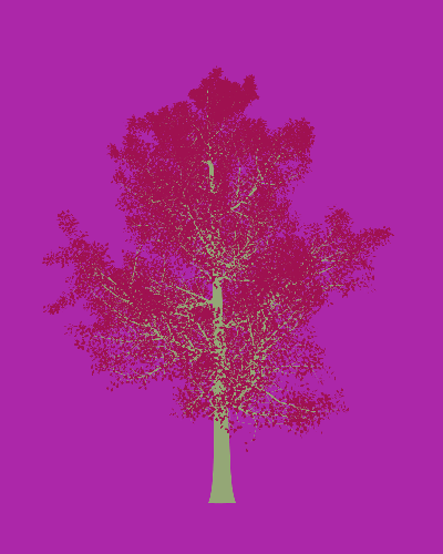 Treee