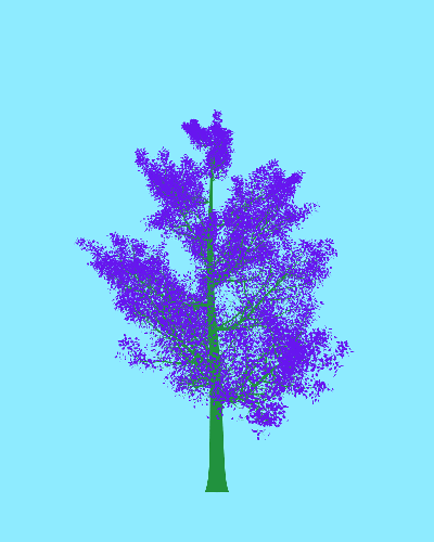 Treee