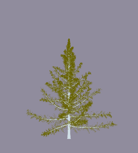 Treee