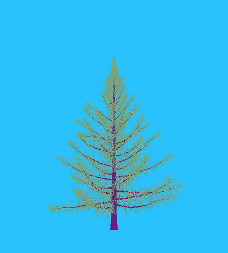Treee