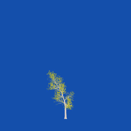 Treee
