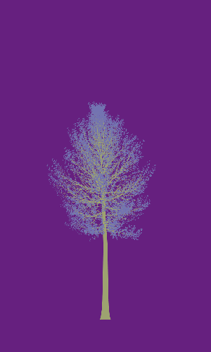 Treee