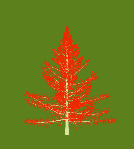 Treee