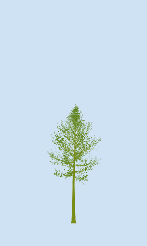 Treee