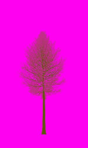 Treee