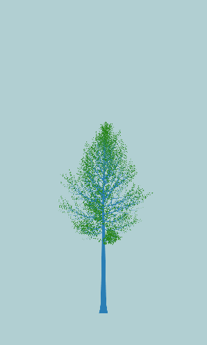 Treee