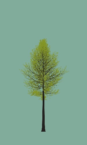 Treee