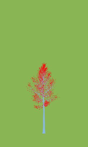 Treee