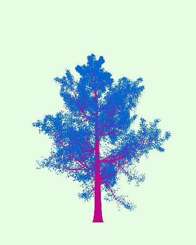 Treee