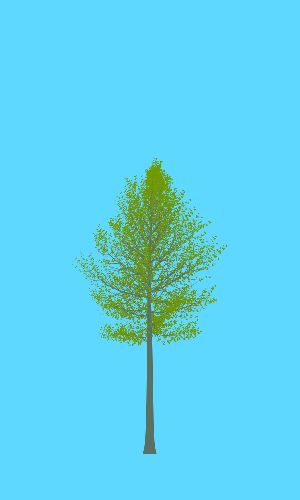 Treee