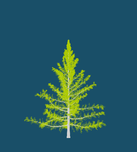 Treee