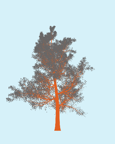 Treee