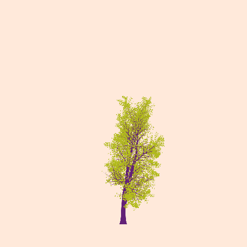 Treee