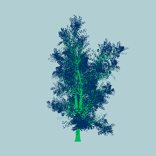 Treee