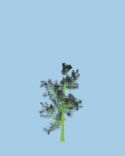 Treee