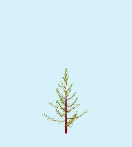 Treee