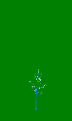 Treee