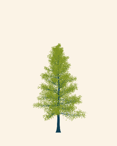 Treee
