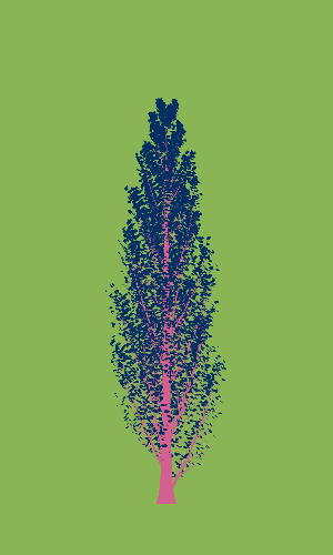 Treee