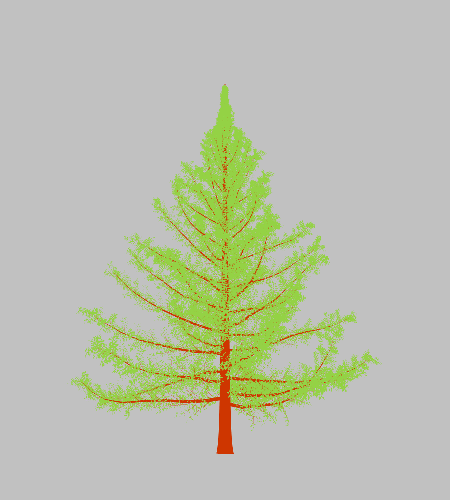 Treee