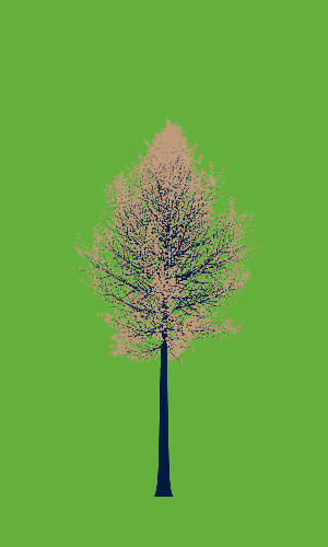 Treee