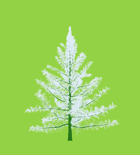Treee
