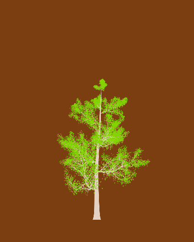 Treee