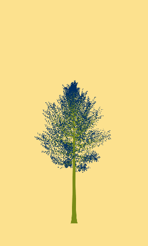 Treee