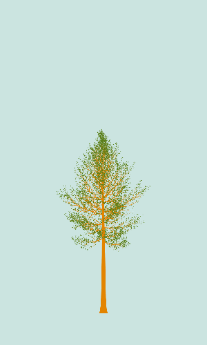 Treee