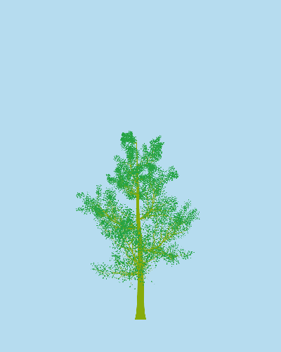 Treee