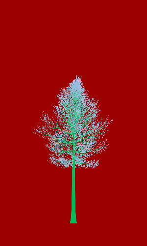 Treee
