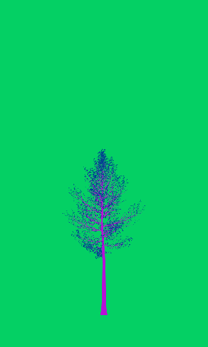 Treee