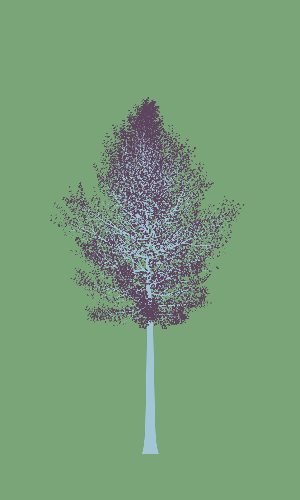 Treee