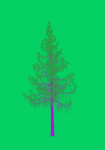 Treee