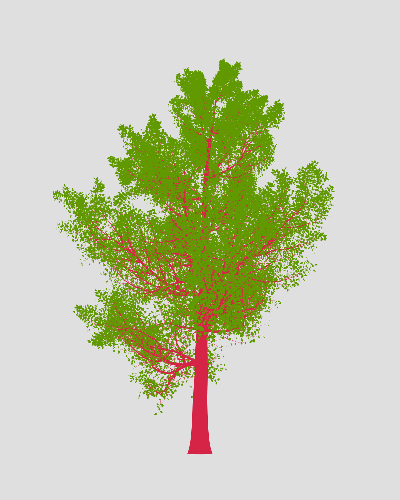 Treee