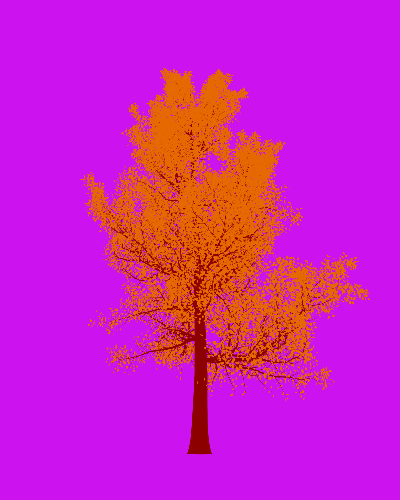 Treee