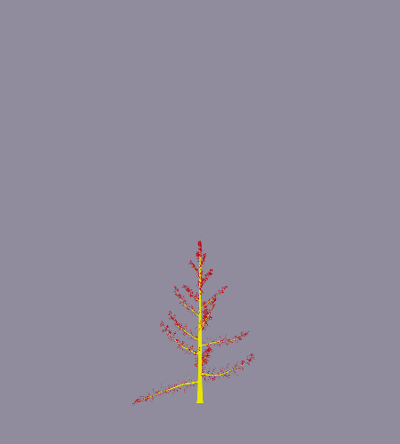 Treee