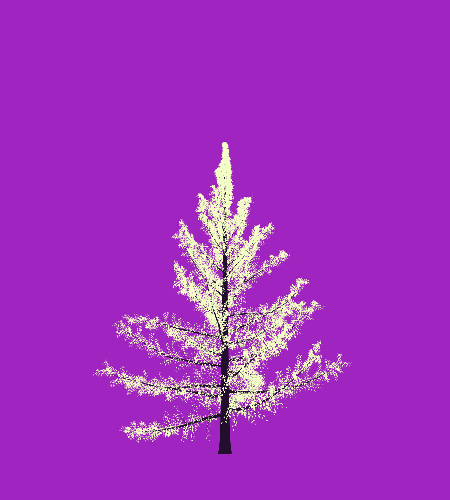 Treee