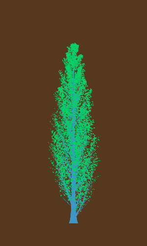 Treee