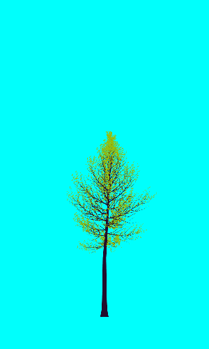 Treee