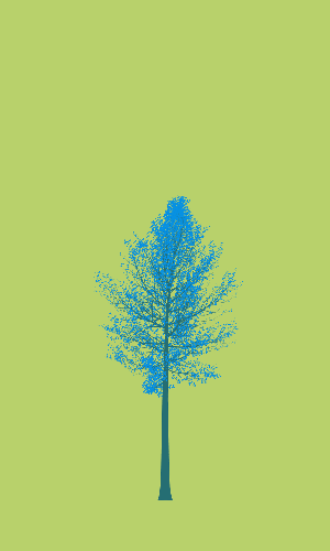 Treee