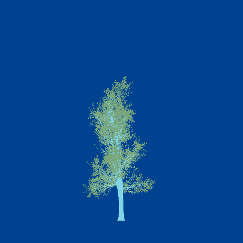 Treee