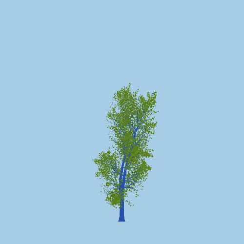 Treee