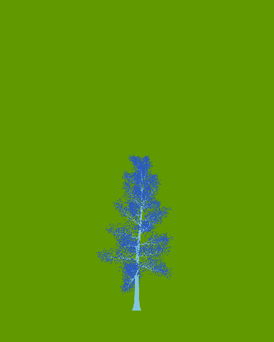 Treee