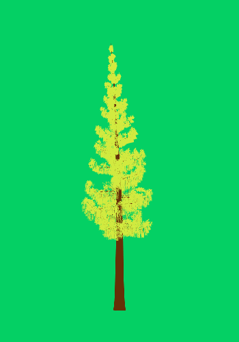 Treee