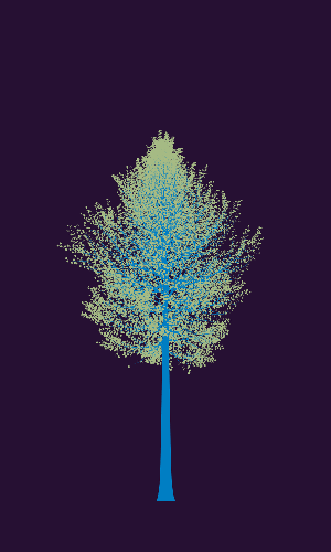 Treee