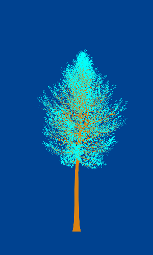 Treee