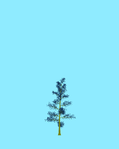 Treee