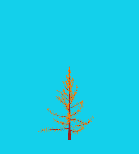 Treee