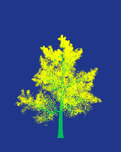 Treee